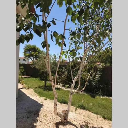 Cocooning Appartement